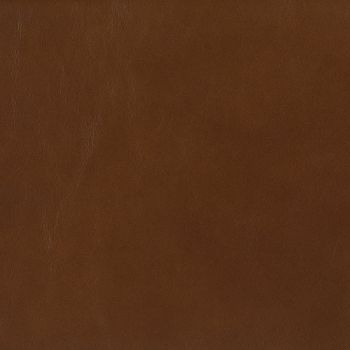 Picture of KL255-76
