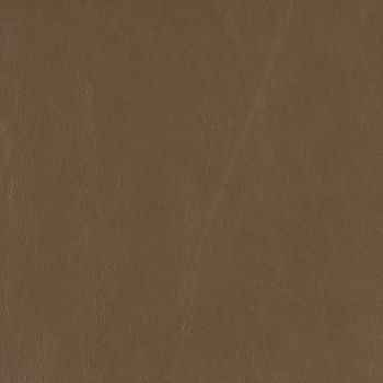 Picture of KL255-89