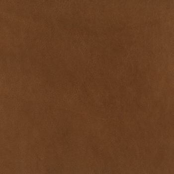 Picture of KL255-97